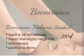 Day Spa Standard Borowinowo - Malinowa Rewitalizacja 1,5h